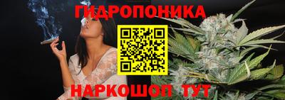 эйфоретик Моздок
