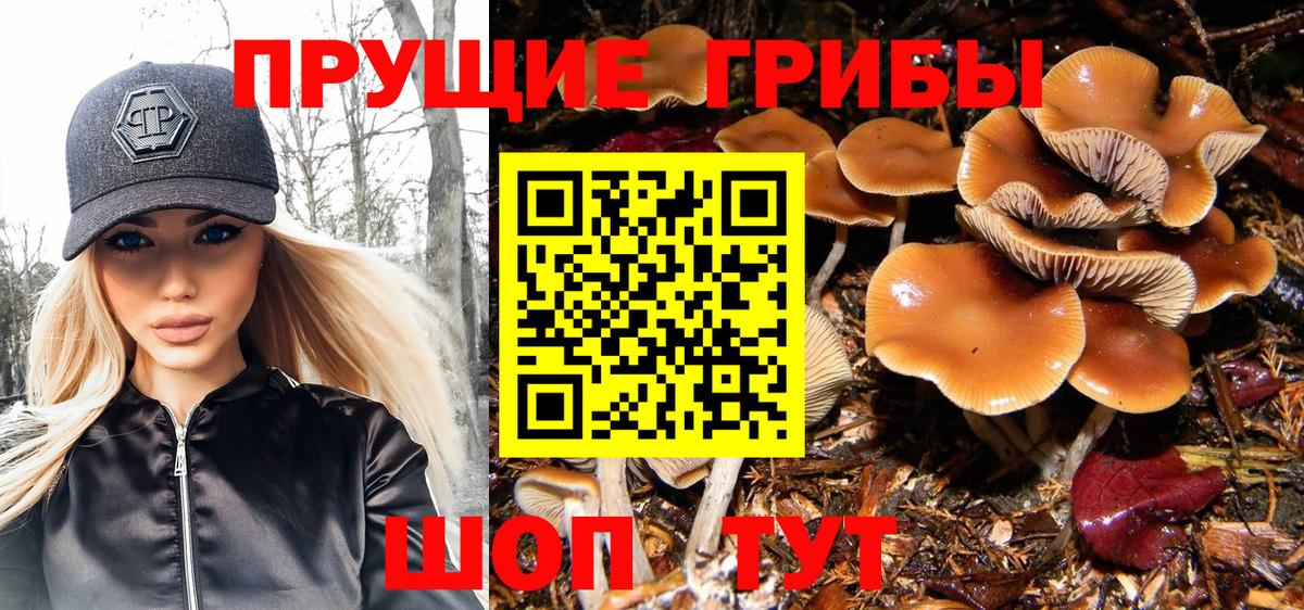 Галлюциногенные грибы Magic Shrooms Чайковский