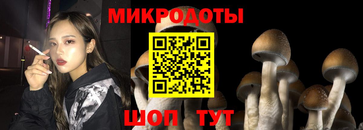 Галлюциногенные грибы мицелий  Вход с VPN  Псилоцибиновые грибы мухоморы  Чайковский 